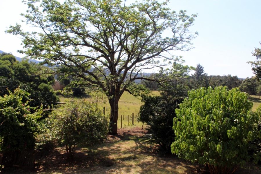 Commercial Property for Sale in Stutterheim Eastern Cape